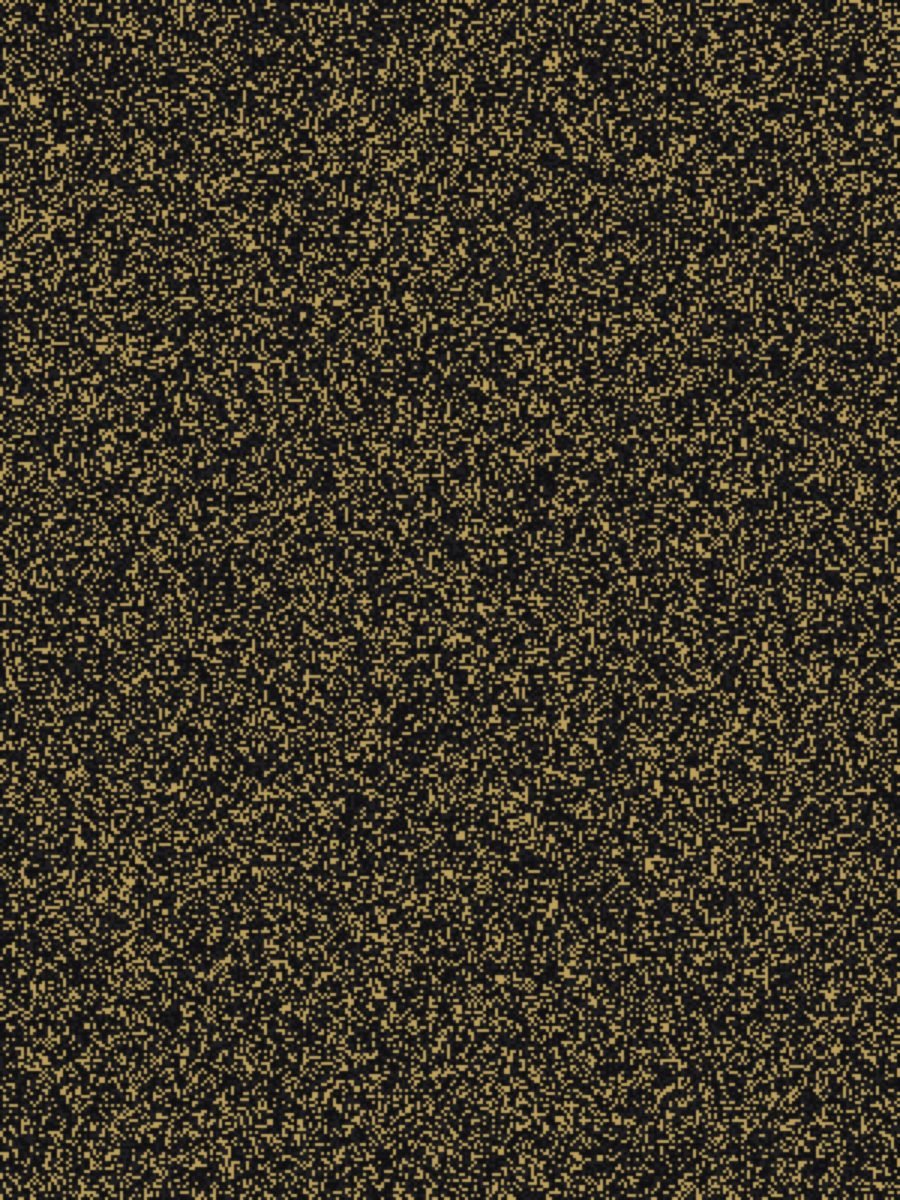 Black Galaxy